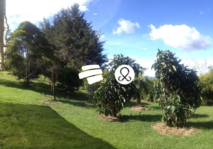 Finca en venta en Sajonia, Rionegro, 10008 m² · foto 3 de 10