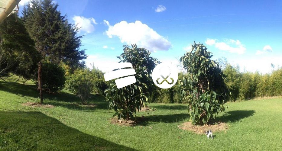 Finca en venta en Sajonia, Rionegro, 10008 m² · foto 4 de 10