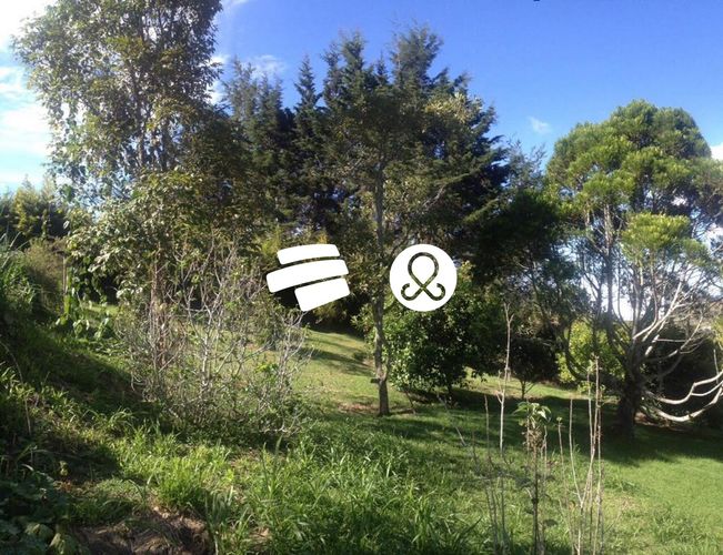 Finca en venta en Sajonia, Rionegro, 10008 m² · foto 6 de 10