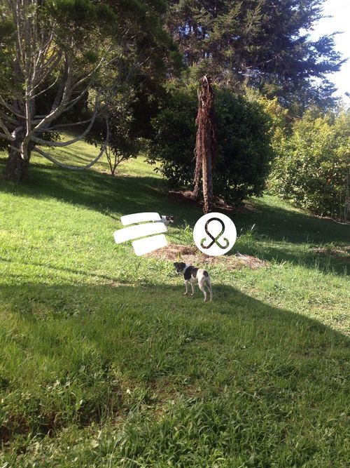 Finca en venta en Sajonia, Rionegro, 10008 m² · foto 9 de 10