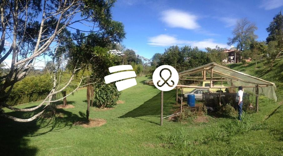 Finca en venta en Sajonia, Rionegro, 10008 m² · foto 10 de 10