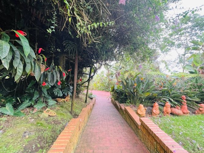 Finca en venta en El Porvenir, Rionegro, 280 m² · foto 21 de 24