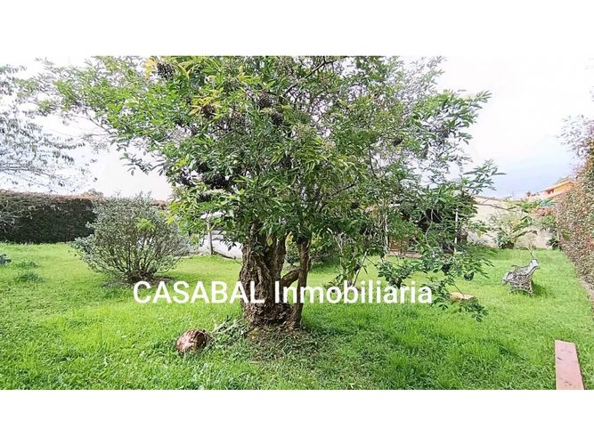 Lote en venta en Chuntame, Cajicá, 300 m² · foto 4 de 10