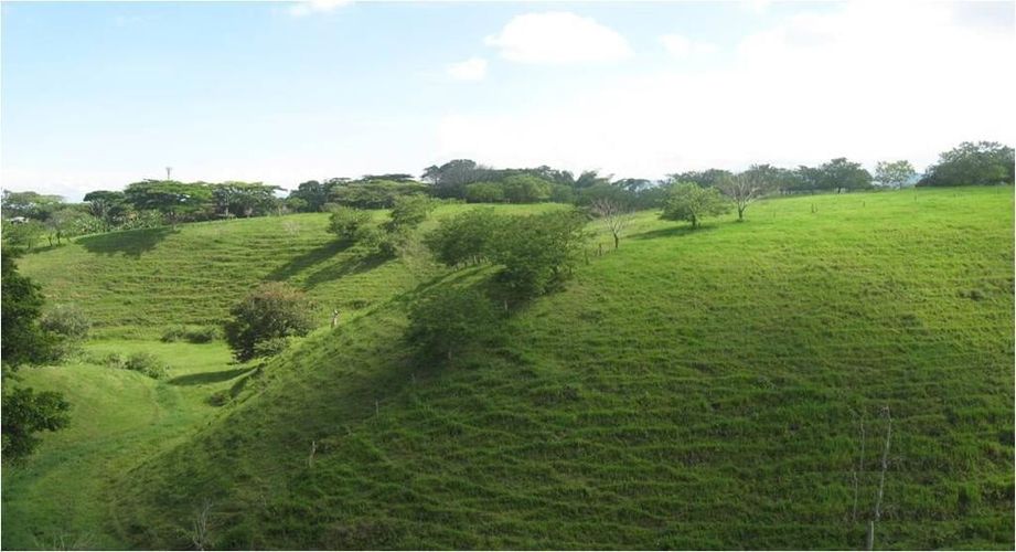 Lote en arriendo en Morelia, Pereira, 80250 m² · foto 2 de 5