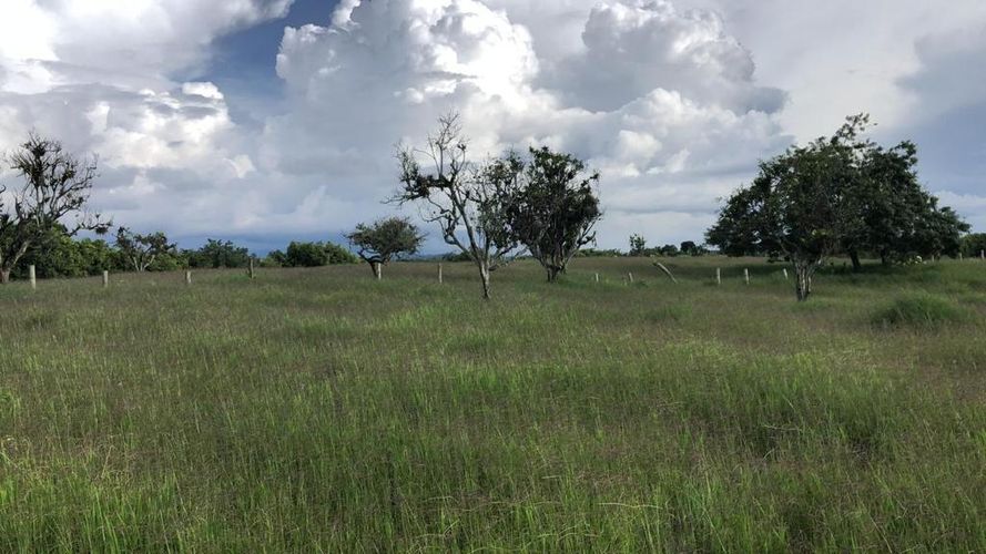 Lote en arriendo en Morelia, Pereira, 80250 m² · foto 4 de 5