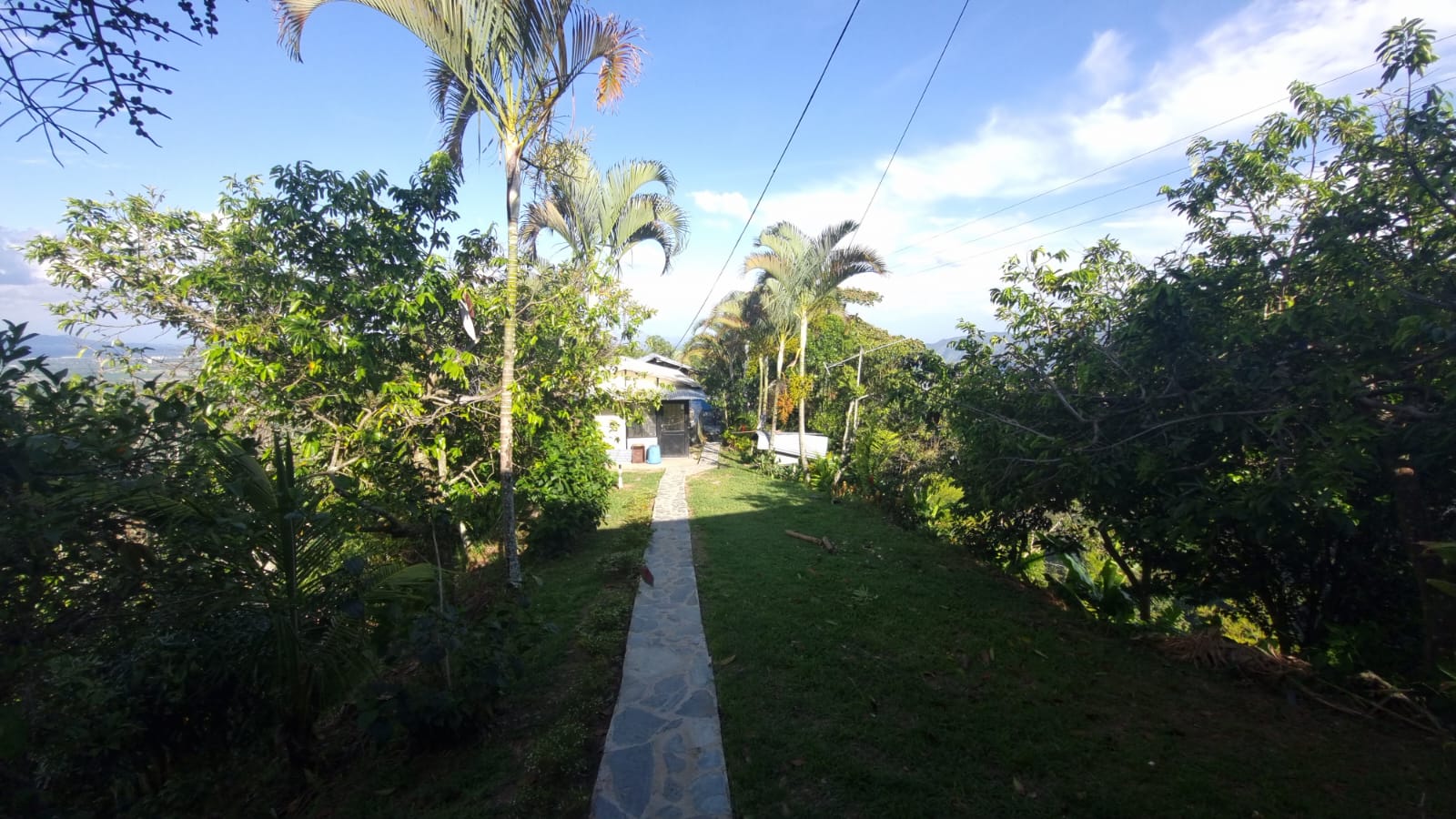 Finca en venta en Los cauchos parte alta, Ibagué
