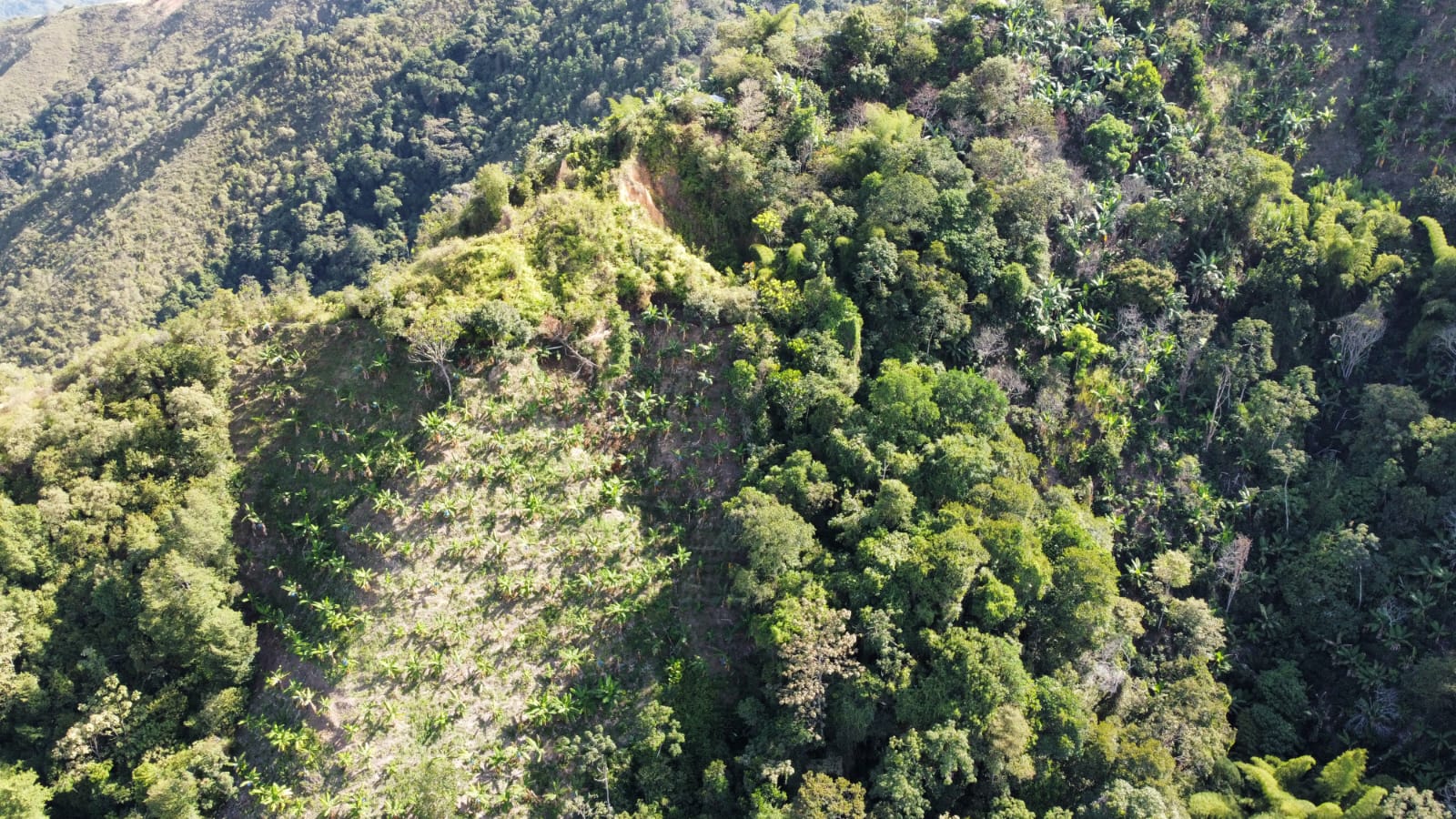 Finca en venta en Los cauchos parte alta, Ibagué