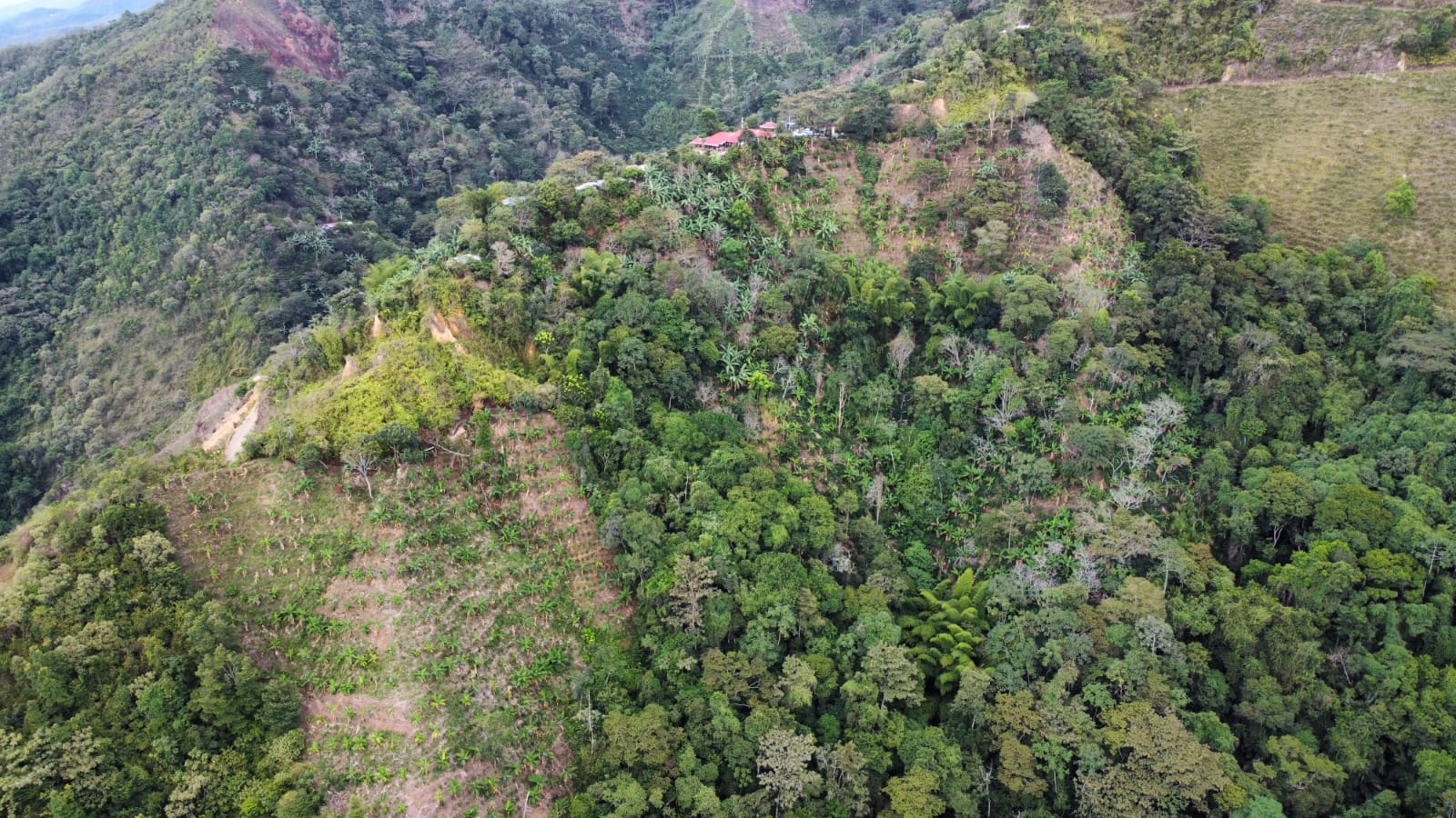 Finca en venta en Los cauchos parte alta, Ibagué