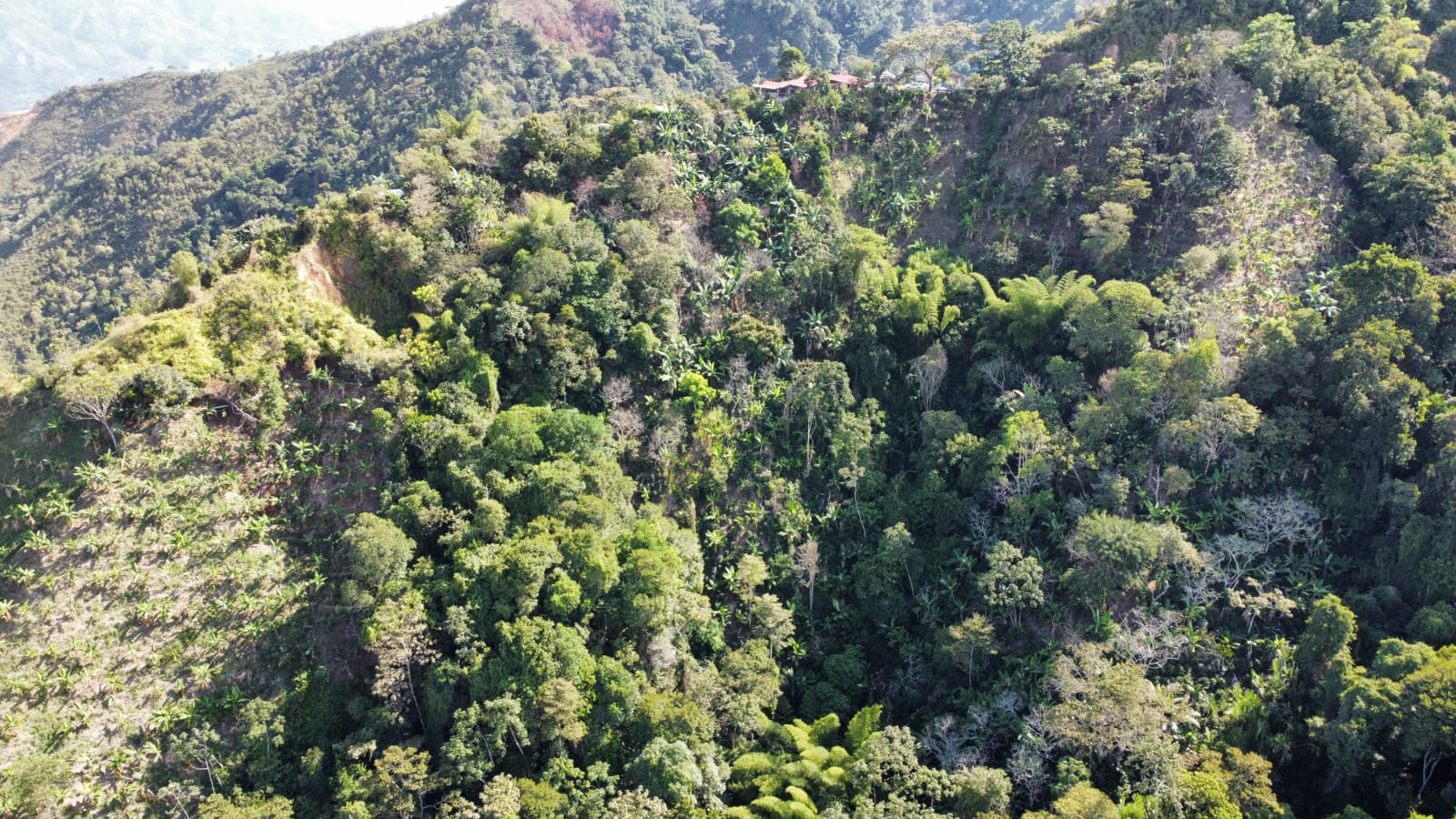 Finca en venta en Los cauchos parte alta, Ibagué