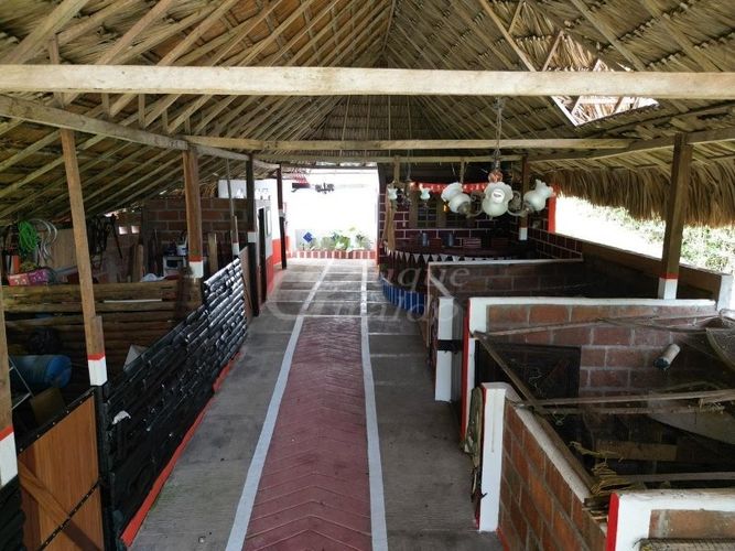 Finca en venta en Zarzal La Luz, Copacabana, 2400 m² · foto 3 de 21