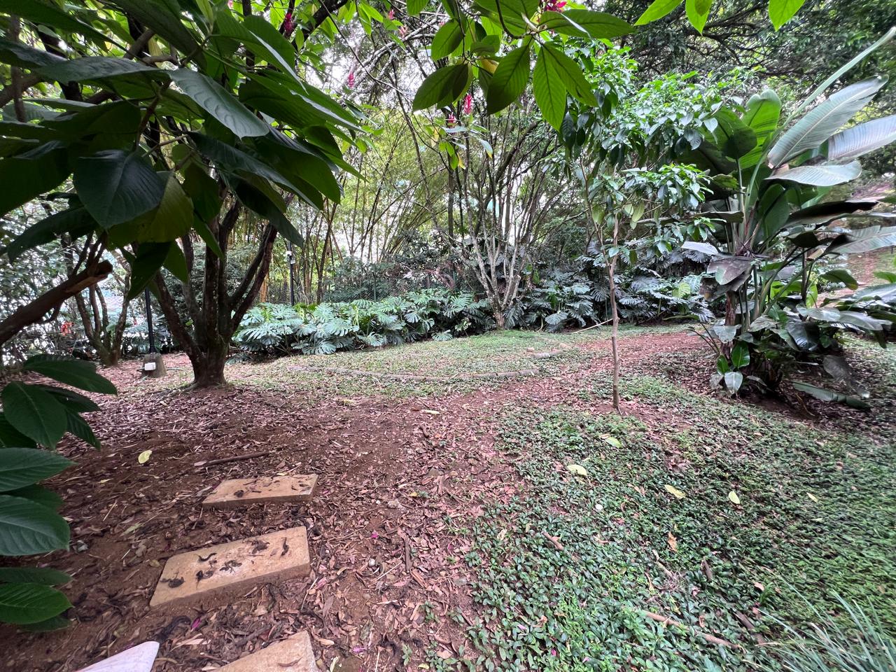 Apartamento en arriendo en El Poblado, Medellín · foto 18 de 20