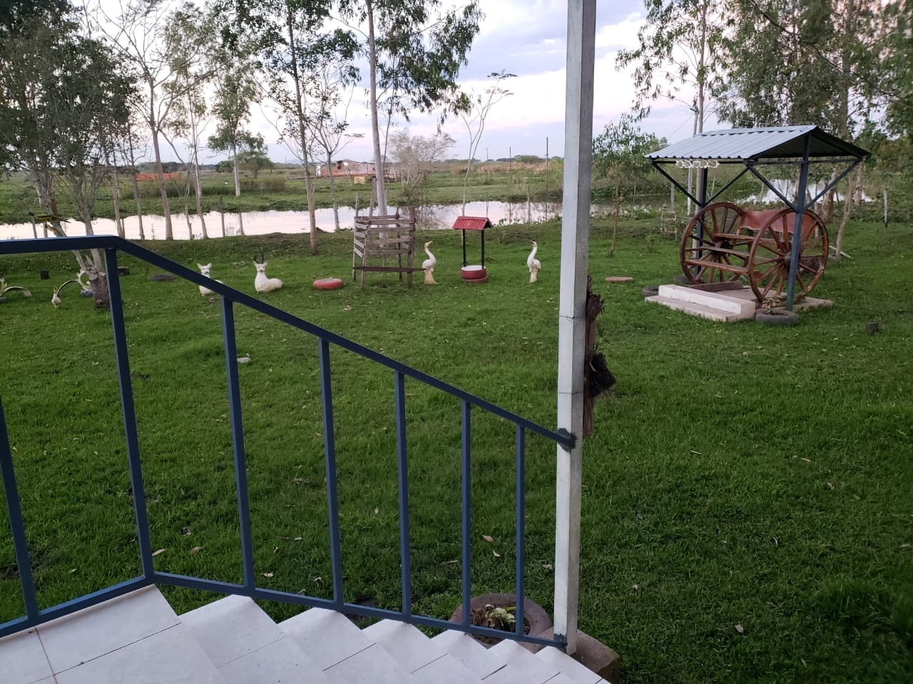 Campo en venta en Nueva Italia — foto 3