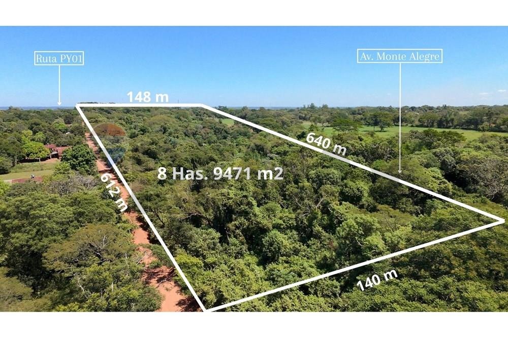 TERRENO DE 89.471 M2 SOBRE PY01 - CORONEL BOGADO EN VENTA — foto 3