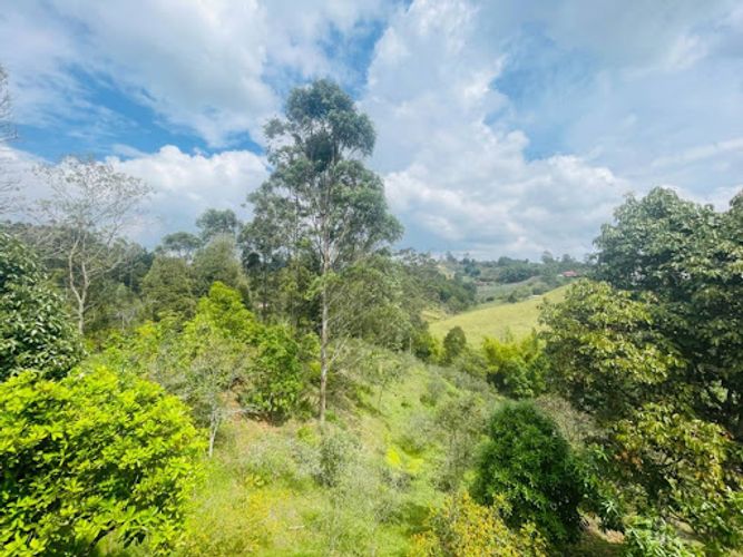 Finca en venta en El Porvenir, Rionegro, 144 m² · foto 23 de 23