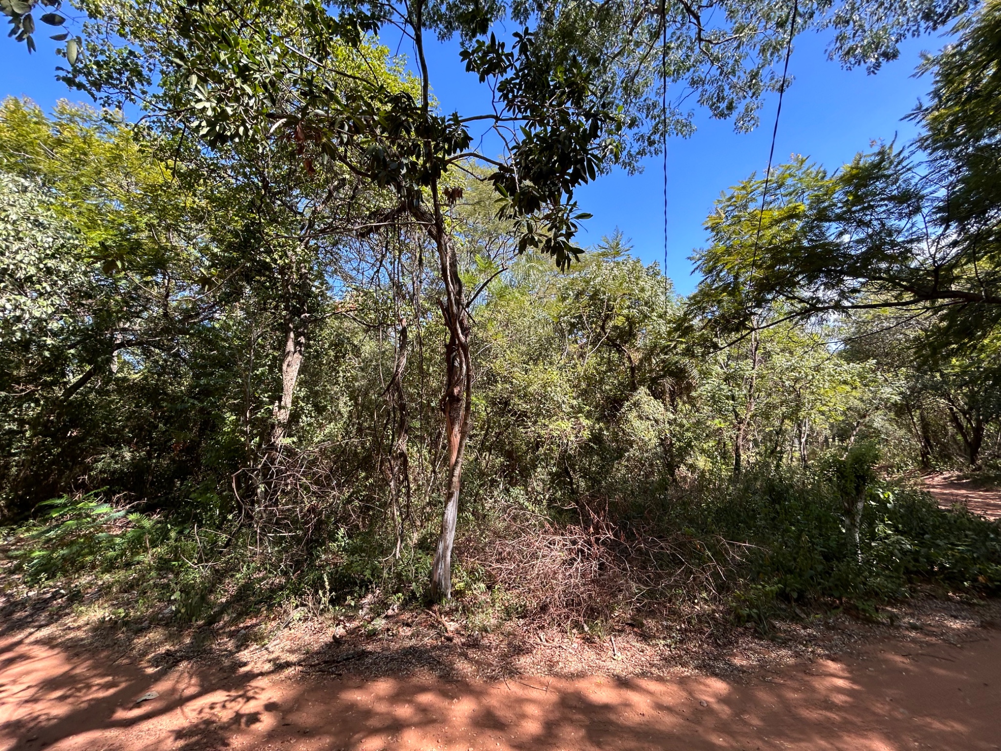Terreno en oferta en venta en San Bernardino- zona Es Vedra.