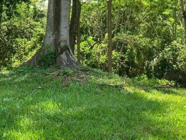 VENDO TERRENO EN EL EXCLUSIVO BARRIO CRISTÓBAL COLÓN DE SAN BERNARDINO — foto 3