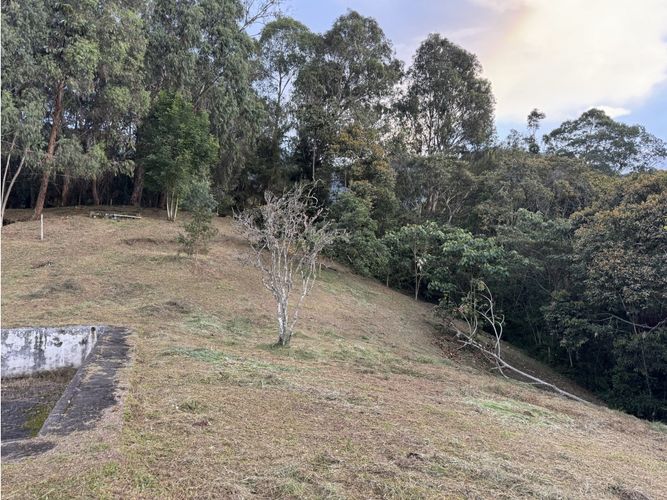 Lote en venta en Lomitas, La Ceja, 200 m² · foto 9 de 15