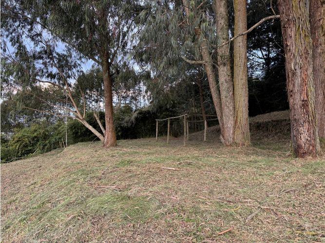 Lote en venta en Lomitas, La Ceja, 200 m² · foto 12 de 15