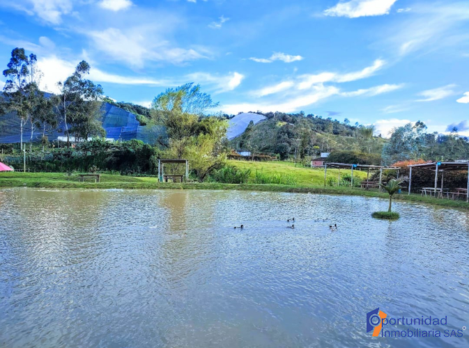Casa de 1 alcoba en arriendo en Viboral, El Carmen de Viboral, 500 m² · foto 10 de 20