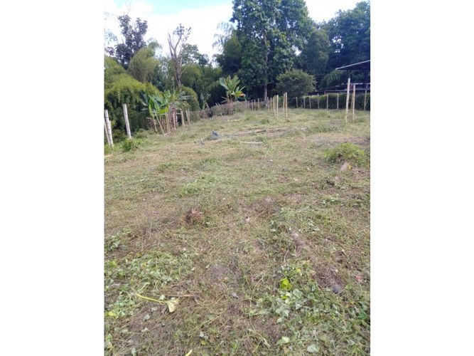 Lote en venta en La Popa, Armenia, 5000 m² · foto 4 de 7