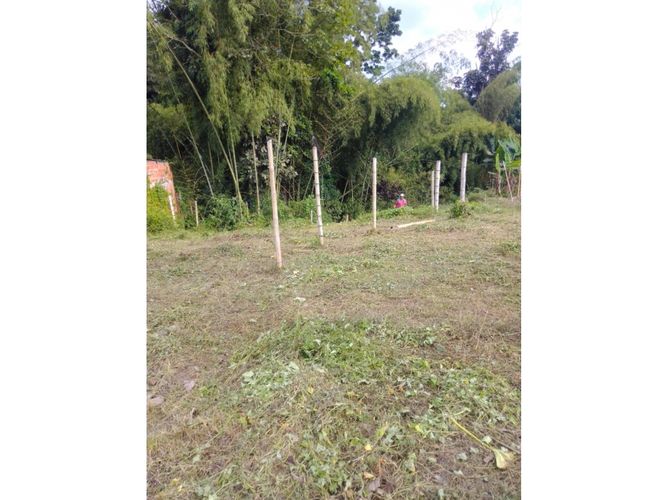 Lote en venta en La Popa, Armenia, 5000 m² · foto 5 de 7