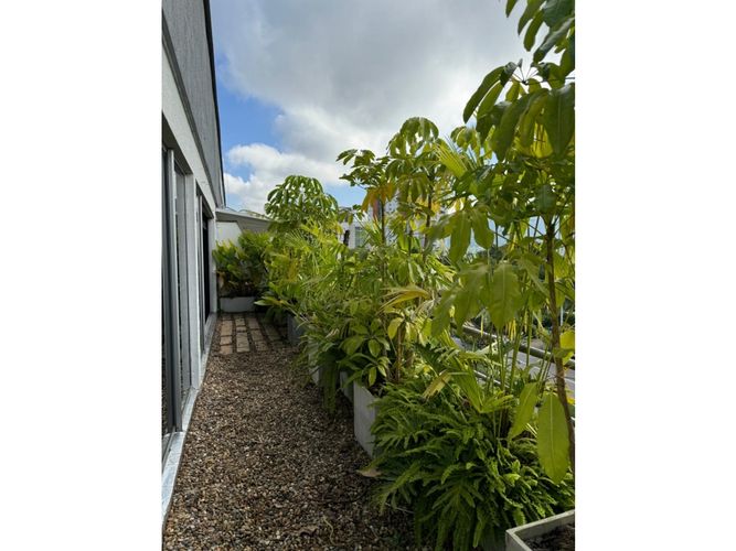 Local en arriendo en Avenida Centenario, Armenia, 40 m² · foto 12 de 13