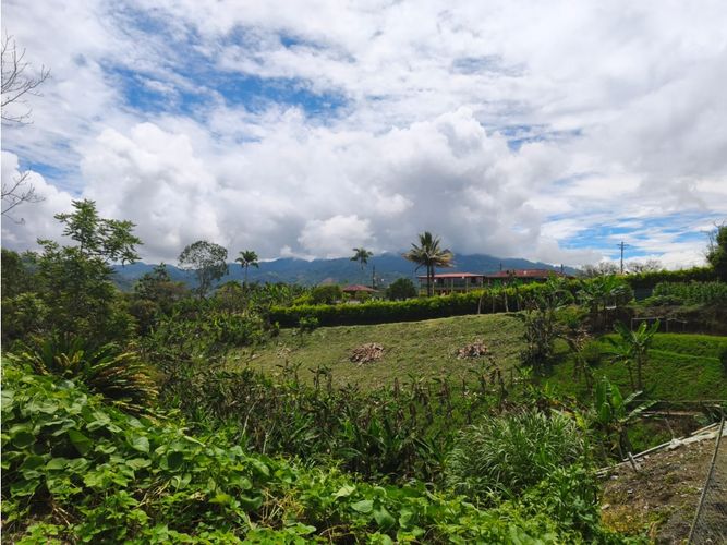 Lote en venta en Combia, Pereira, 2031 m² · foto 14 de 15