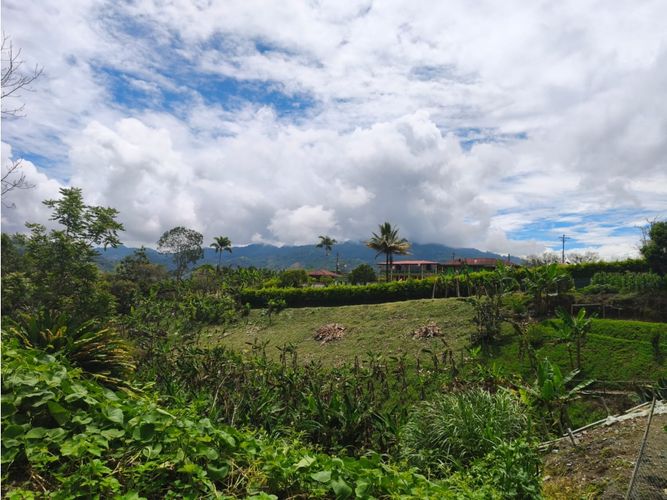 Lote en venta en Combia, Pereira, 2031 m² · foto 15 de 15