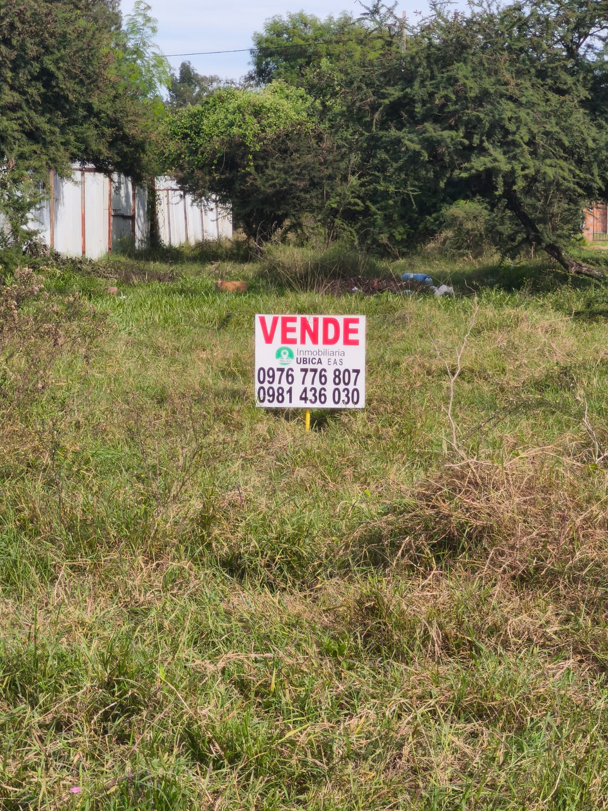 Terreno en venta en Limpio — foto 2