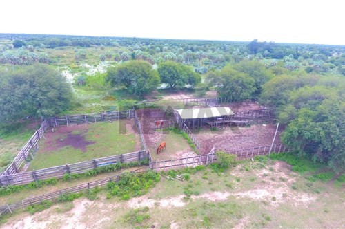 EN VENTA ESTANCIA SOBRE RUTA TRANSCHACO KM 130 - DEPARTAMENTO DE PRESIDENTE HAYES — foto 2