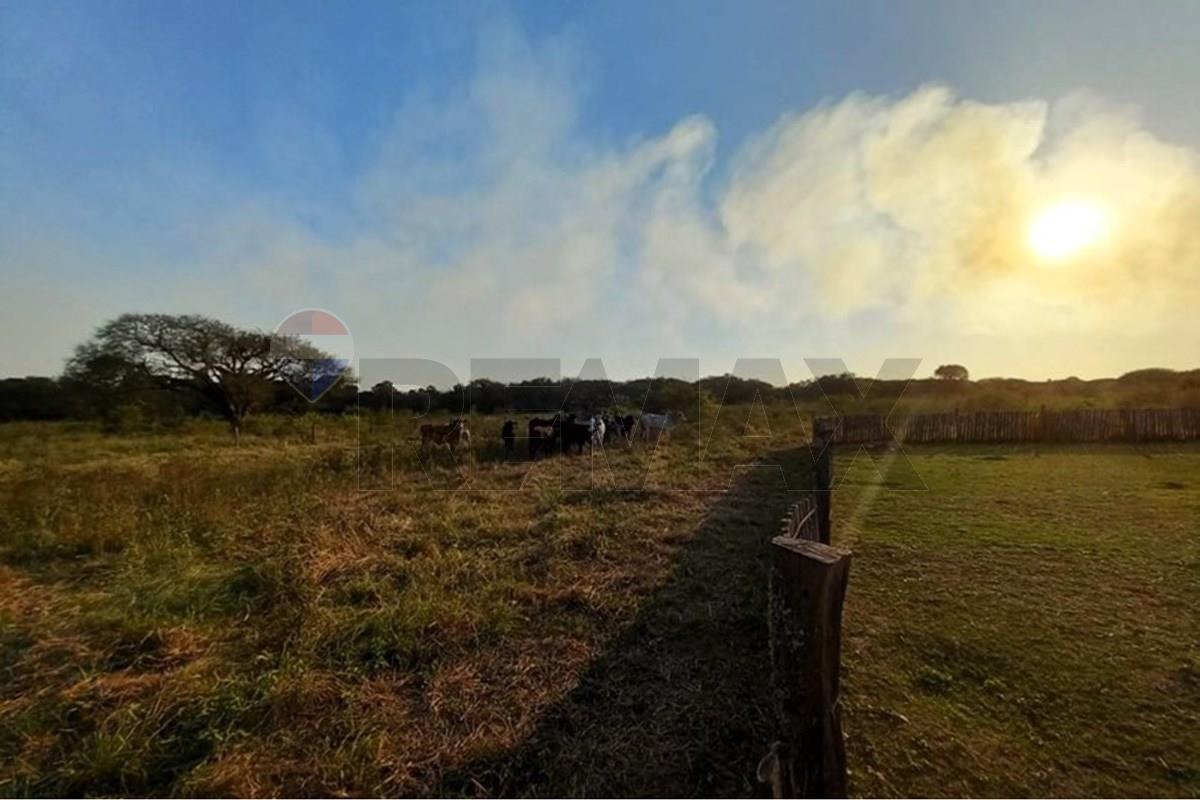 ESTANCIA GANADERA CON TERRENO DE 28.950.000 M2 EN BENJAMÍN ACEVAL EN VENTA — foto 3