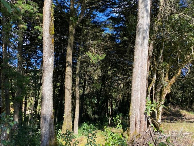 Finca en venta en Santa Elena, Medellín, 100 m² · foto 16 de 23