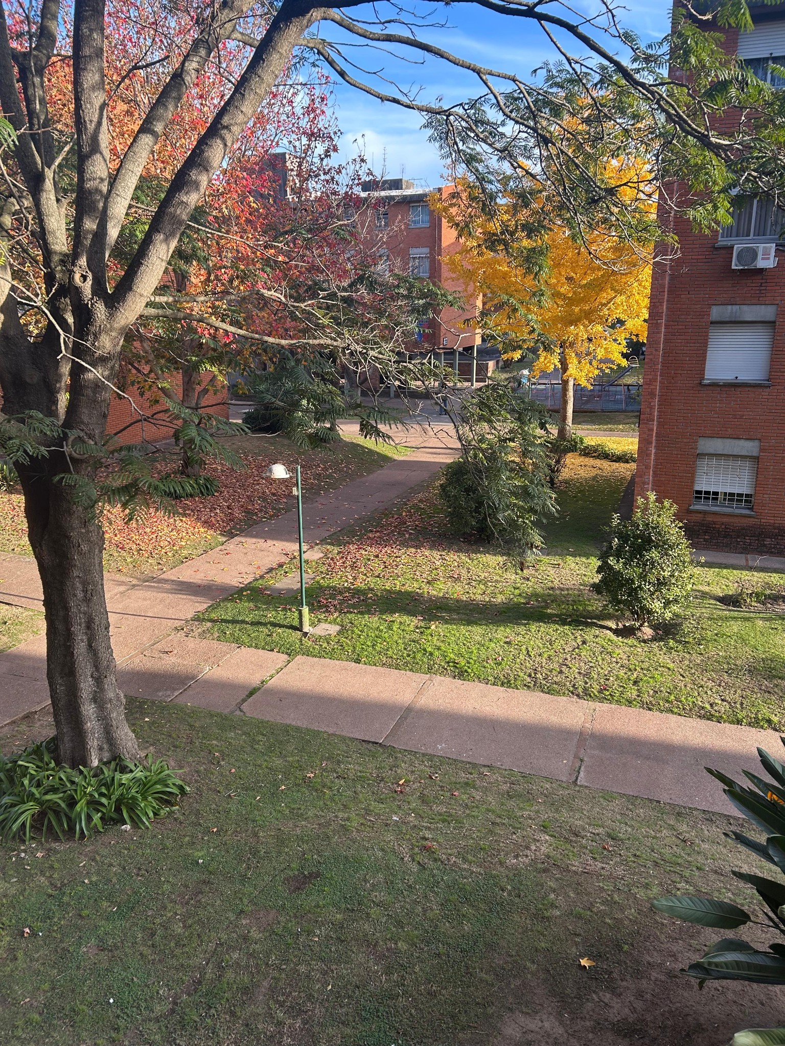 Alquiler apartamento 3 dormitorios en Union