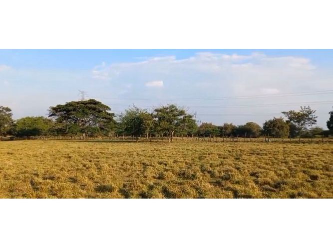 Lote en venta en Pance, Cali, 26759 m² · foto 5 de 5