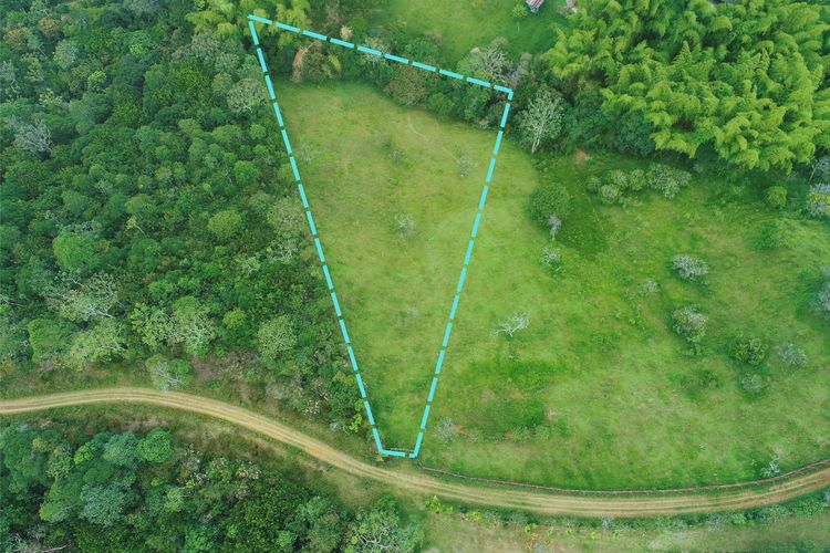 Lote en venta en La Buitrera, Cali, 5152 m² · foto 3 de 13