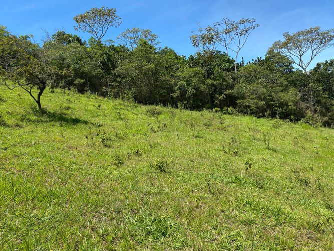 Lote en venta en La Buitrera, Cali, 5152 m² · foto 7 de 13