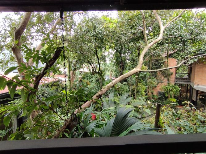 Local en arriendo en El Poblado, Medellín, 36 m² · foto 6 de 13