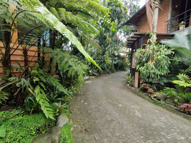 Local en arriendo en El Poblado, Medellín, 36 m² · foto 13 de 13