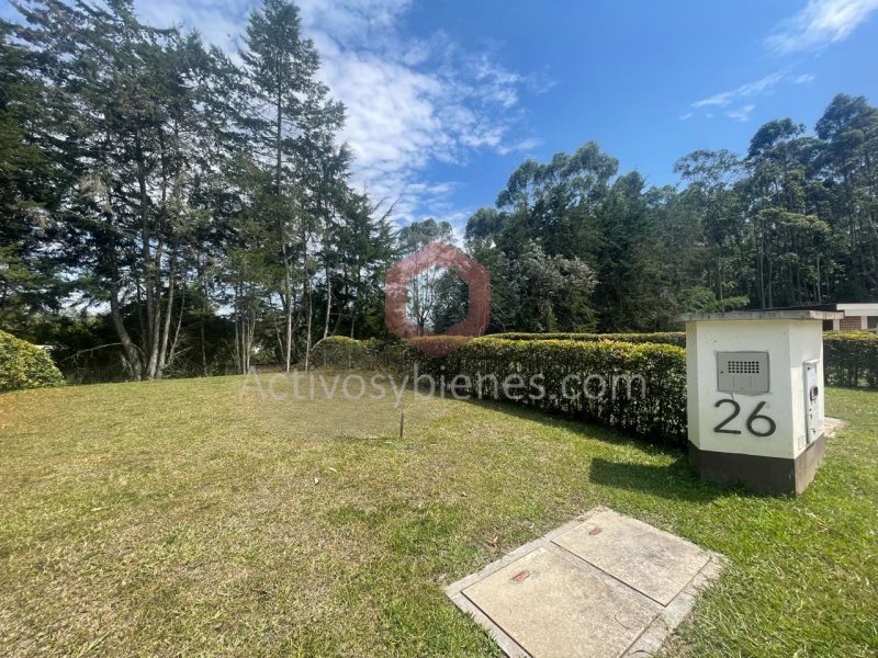 Land in El porvenir (184 m²) for Sale - 4