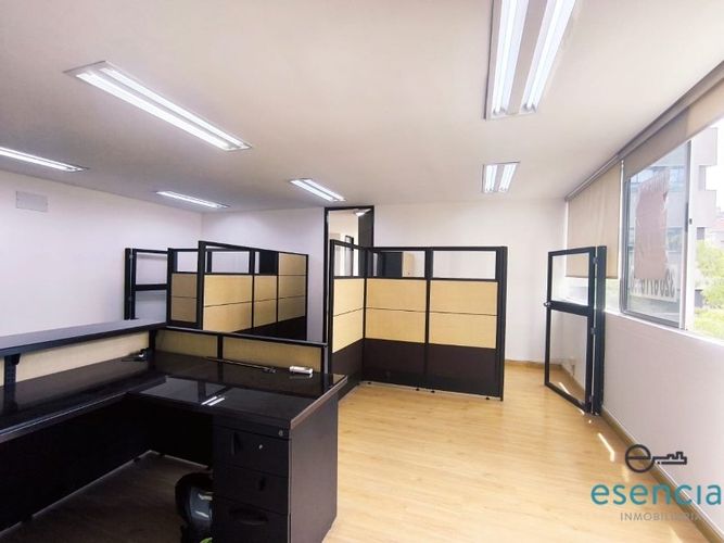 Oficina en arriendo en Los Balsos, Medellín, 73 m² · foto 7 de 12