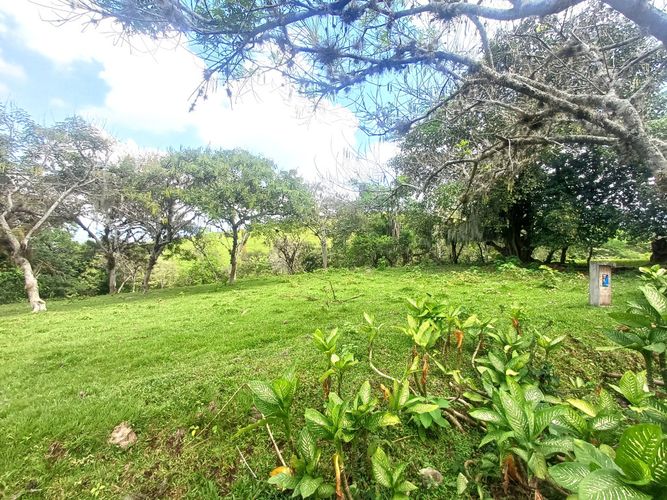Lote en venta en Tablones, Palmira, 3047 m² · foto 2 de 13