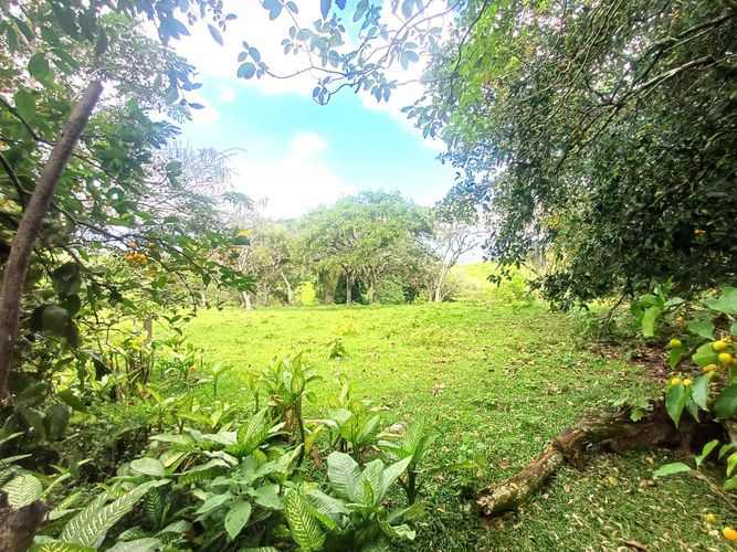 Lote en venta en Tablones, Palmira, 3047 m² · foto 3 de 13