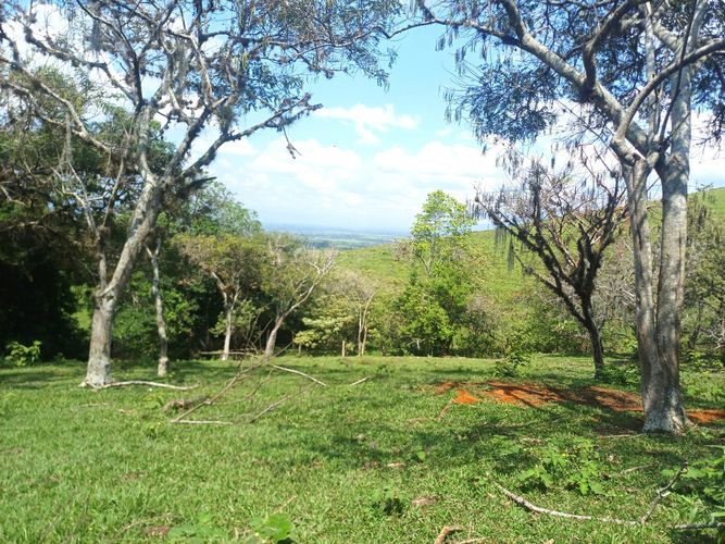 Lote en venta en Tablones, Palmira, 3047 m² · foto 4 de 13