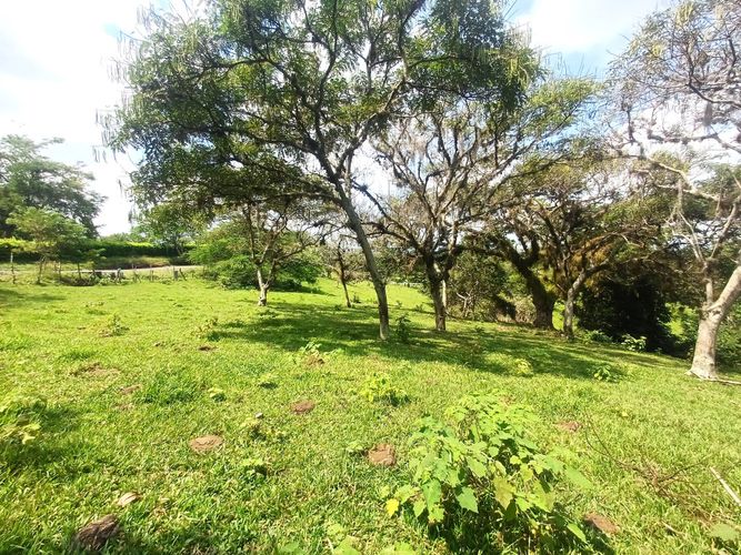 Lote en venta en Tablones, Palmira, 3047 m² · foto 5 de 13