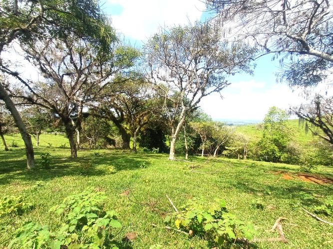 Lote en venta en Tablones, Palmira, 3047 m² · foto 6 de 13