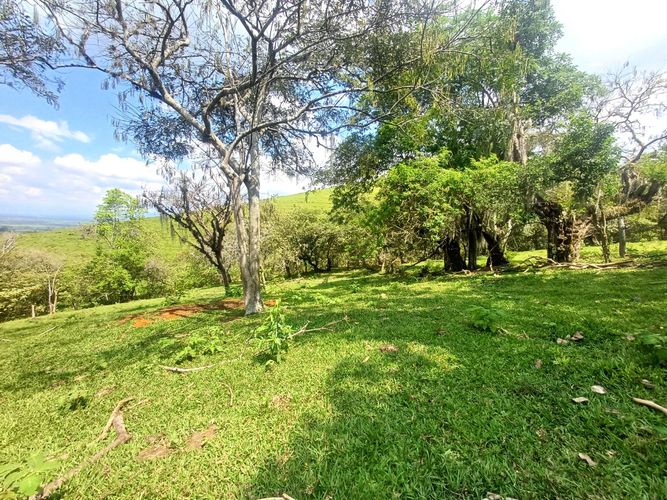 Lote en venta en Tablones, Palmira, 3047 m² · foto 7 de 13