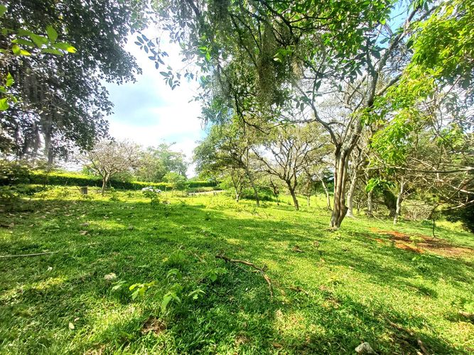 Lote en venta en Tablones, Palmira, 3047 m² · foto 8 de 13