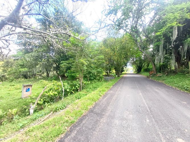 Lote en venta en Tablones, Palmira, 3047 m² · foto 9 de 13
