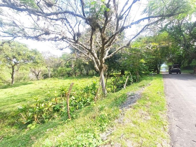 Lote en venta en Tablones, Palmira, 3047 m² · foto 10 de 13