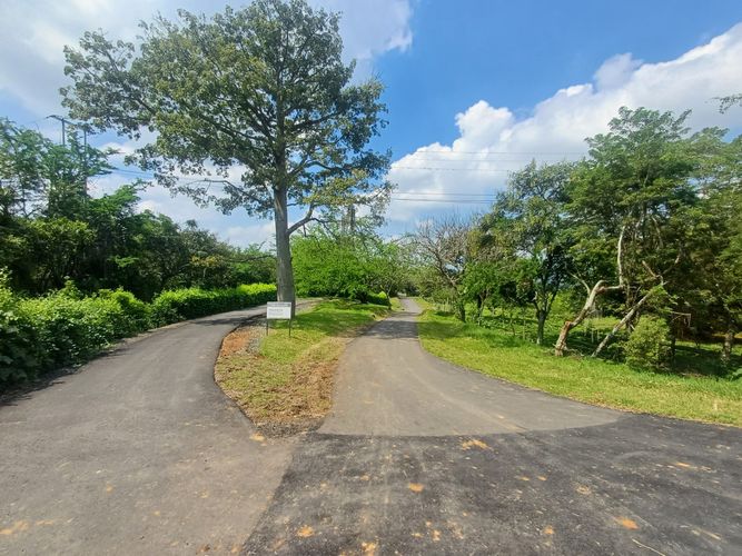 Lote en venta en Tablones, Palmira, 3047 m² · foto 11 de 13